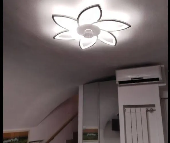 Lovely Basement Trevi Fountain * Roma